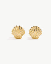 Shell Studs