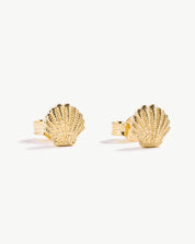 Shell Studs